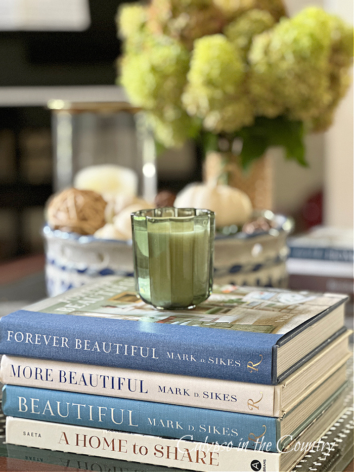 blue and white books stacked on coffee table with green hydrangeas in background