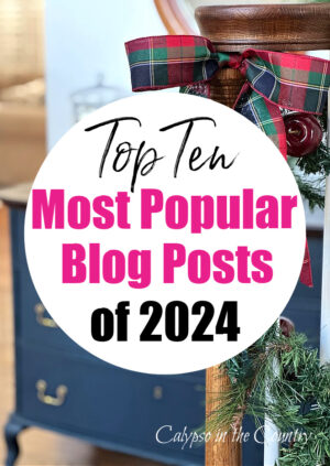Top 10 Most Popular Blog Posts of 2024 - Calypso in the Country