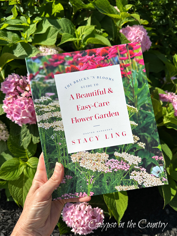 Gardening book and hydrangeas - june recap