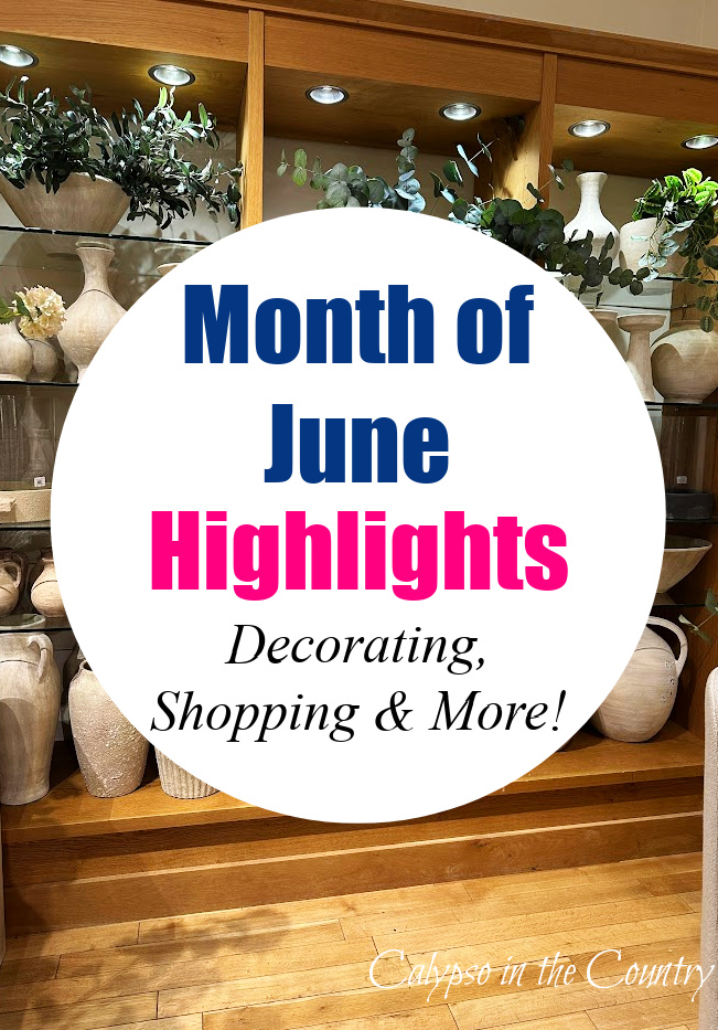 Month of June highlights - decorating and shopping 