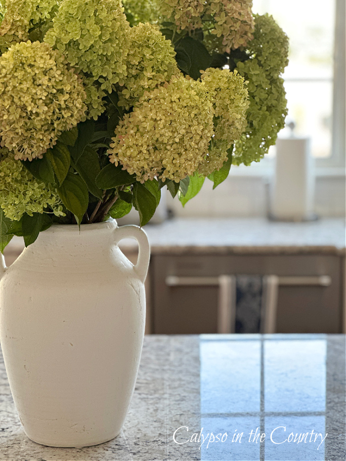green hydrangeas in white vase on kitchen counter