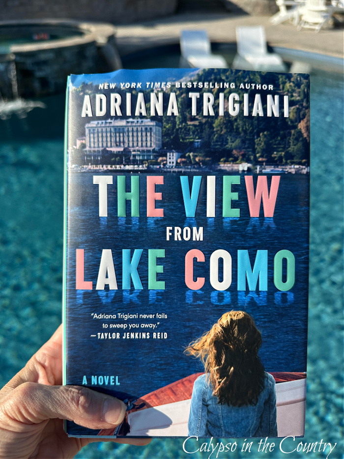 Book - The View From Lake Como - August Recap