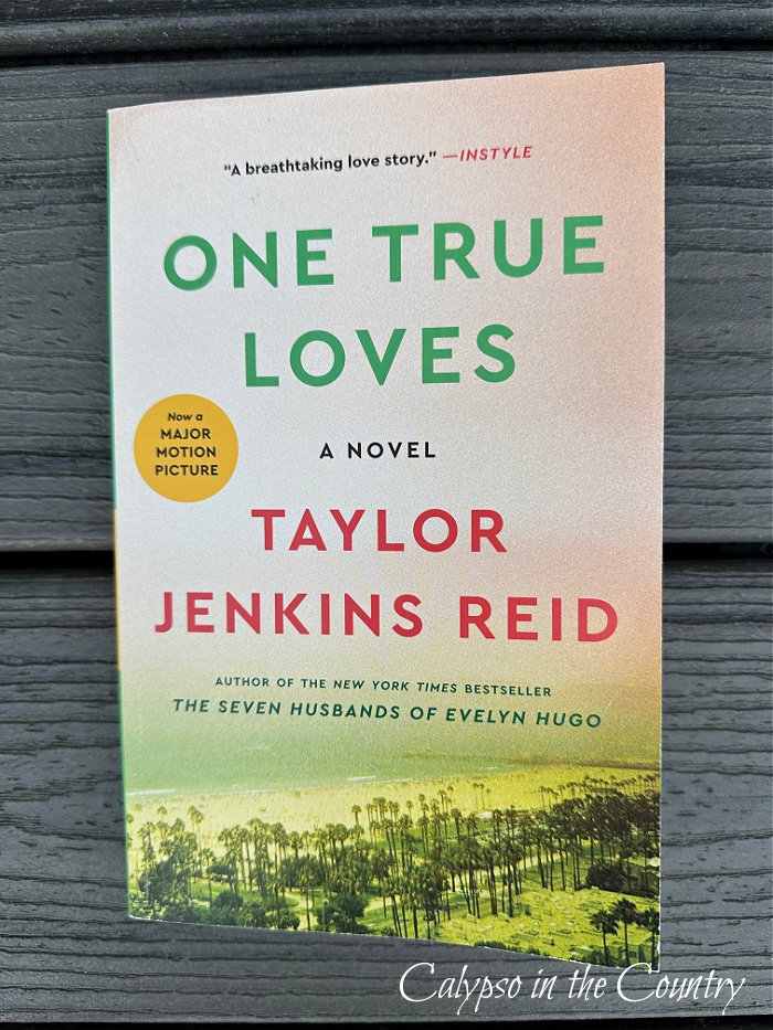 One True Loves book - October recap