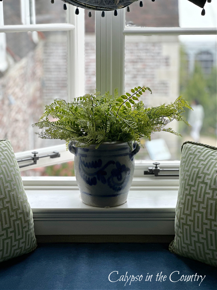 Fern plant in blue and white container on windowsill