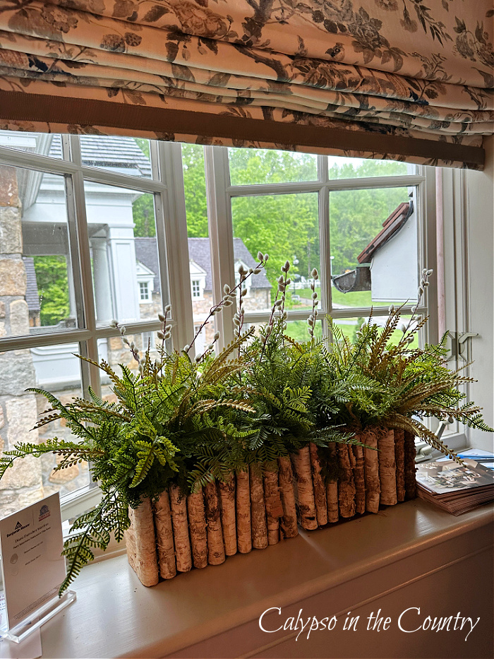 fern plants in rustic container on windowsill - fern decorating ideas