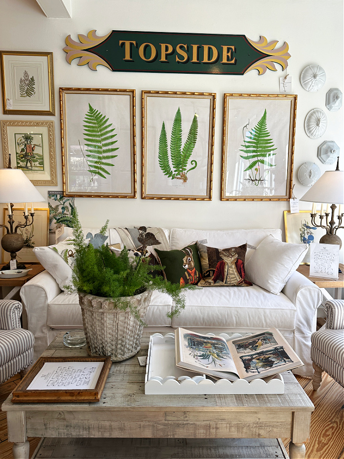 Three framed fern prints over white sofa - fern decorating ideas