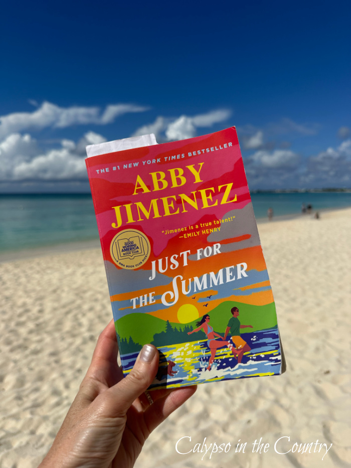 Just for the Summer book with the beach in background - Books to read on vacation