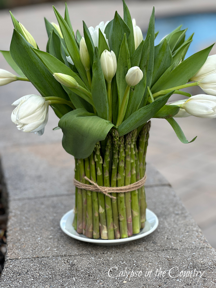 Asparagus vase with white tulips on patio
