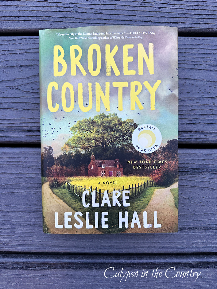 Broken Country book - March wrap up