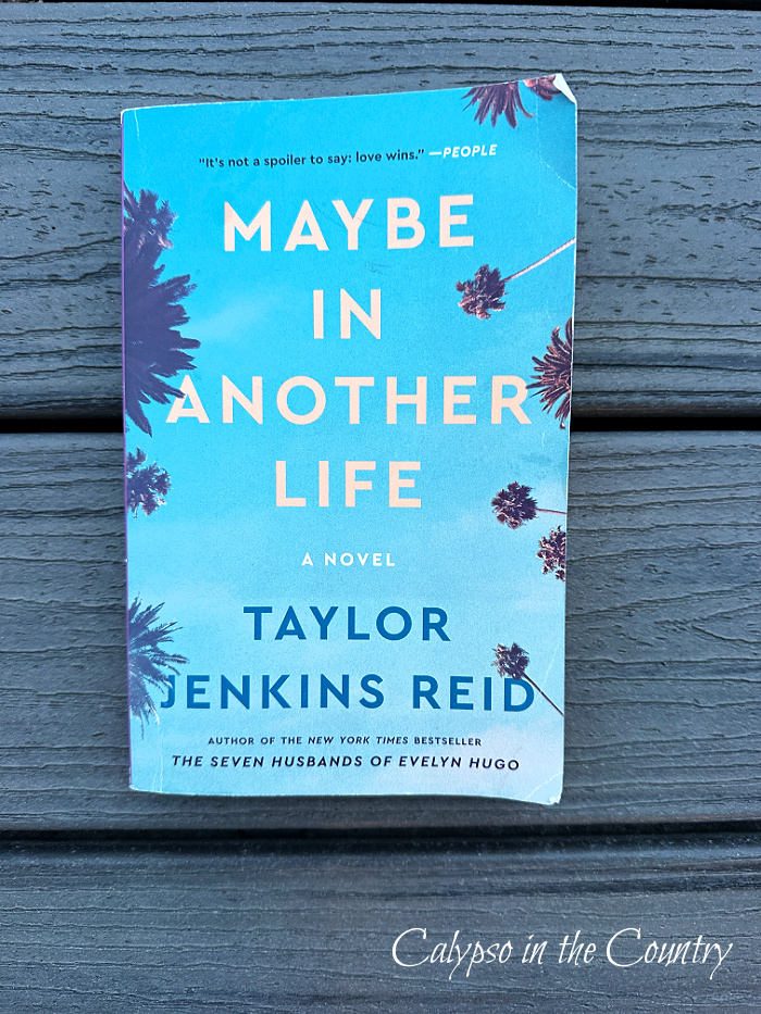 Maybe in Another Life book - March wrap up