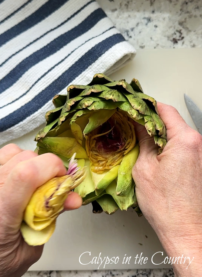 hands pulling out inner leaves of artichoke for candle holder