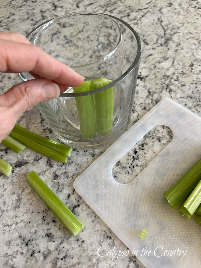 hand placing celery inside glass vase