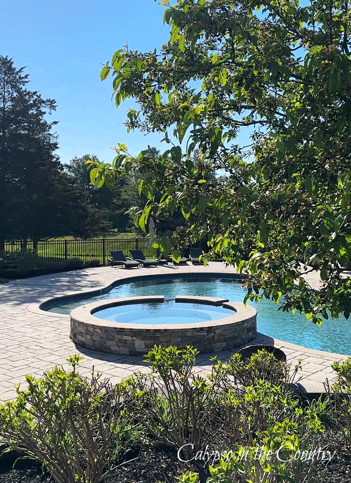 Welcome May - pool and spring greenery in back yard