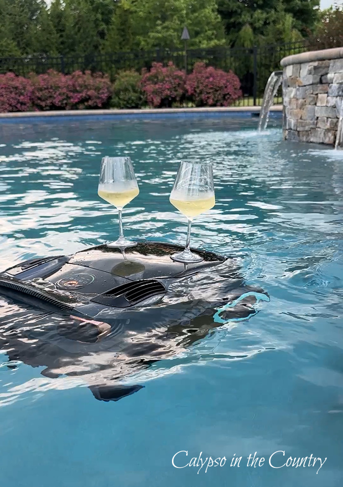 Pool vacuum floating in pool with two glasses of wine on top - June wrap up