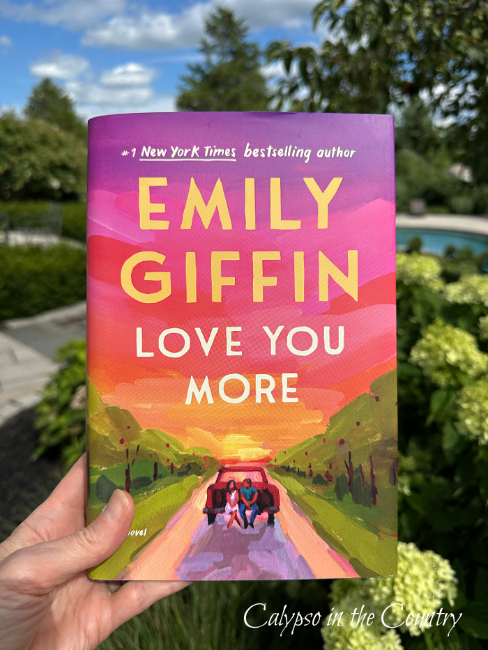 Emily Giffin Love You More Book - July Wrap Up