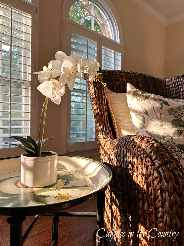 white orchid on table next to seagrass chair - July Wrap up