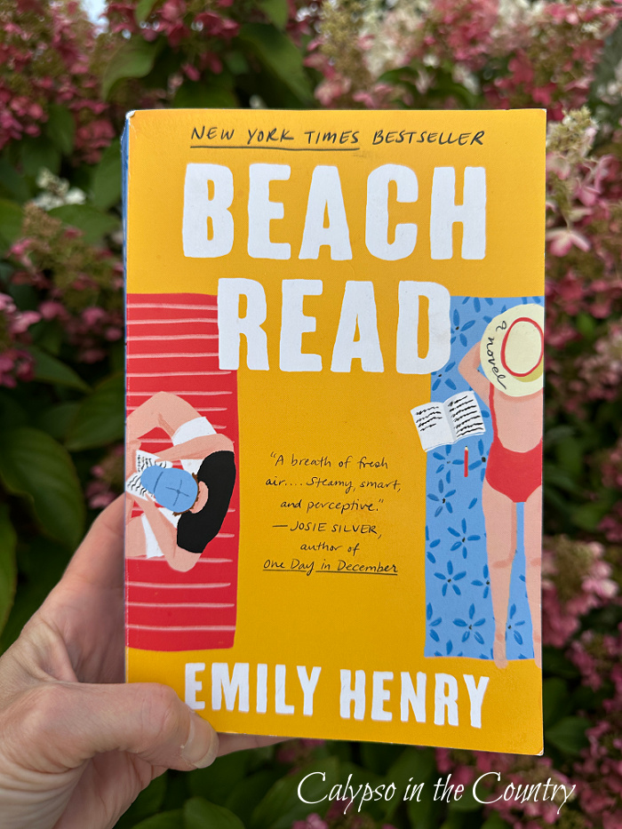 Beach Read book - August Wrap up